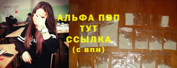 индика Волосово