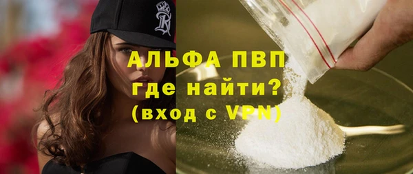 индика Волосово