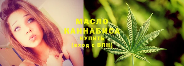 индика Волосово