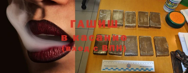 индика Волосово
