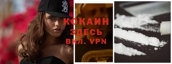 индика Волосово