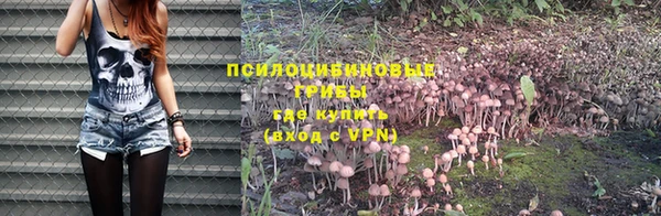 гидропоника Володарск