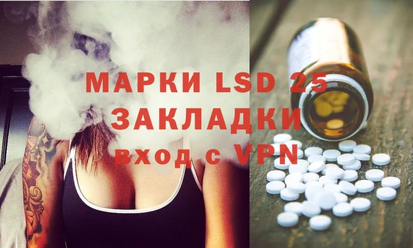 индика Волосово