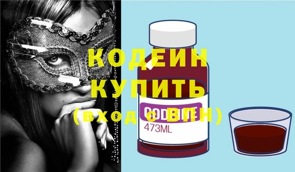 индика Волосово